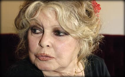 صورة غلاف مقالة بريجيت تعرض 750 دولاراً لمن يعيد هرّها