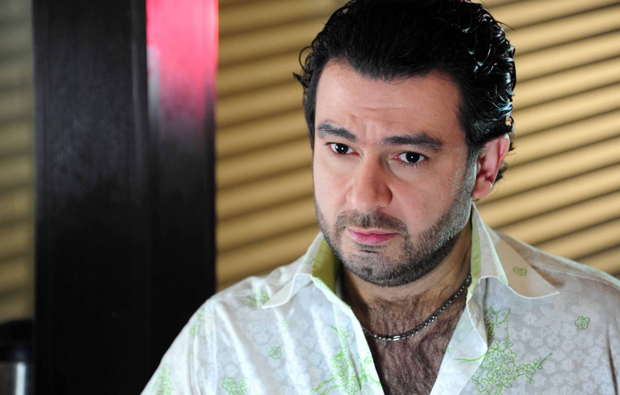 عاصم حواط بين الكوميديا والسياسة والبيئة الشامية