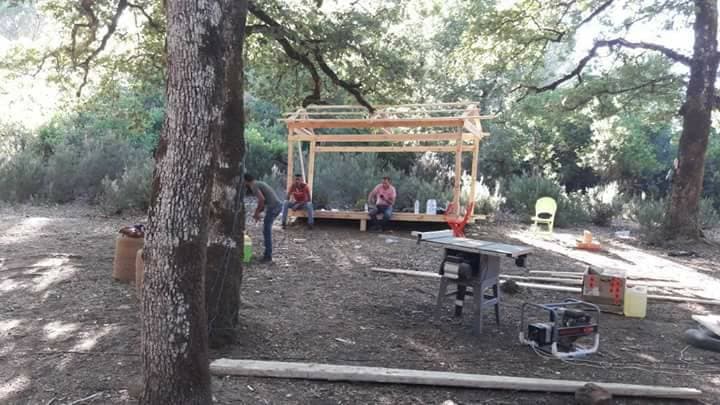 بالصور.. ورشة إعمار في "الواق واق"!!