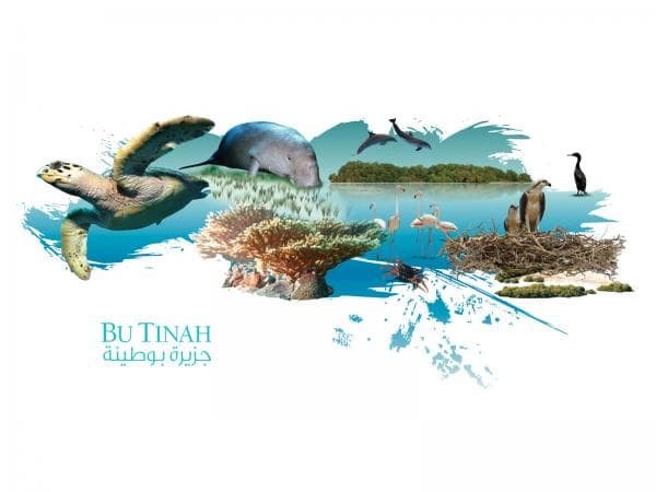 صورة غلاف مقالة بوطينة.. جزيرة عجائب إماراتية تسعى لاعتراف دولي