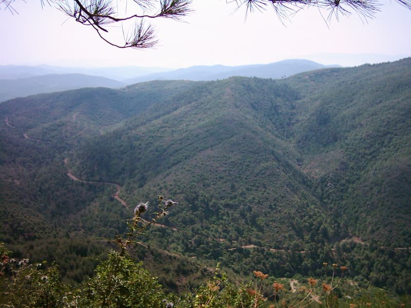 صورة غلاف مقالة مقالة اليوم - لحظات