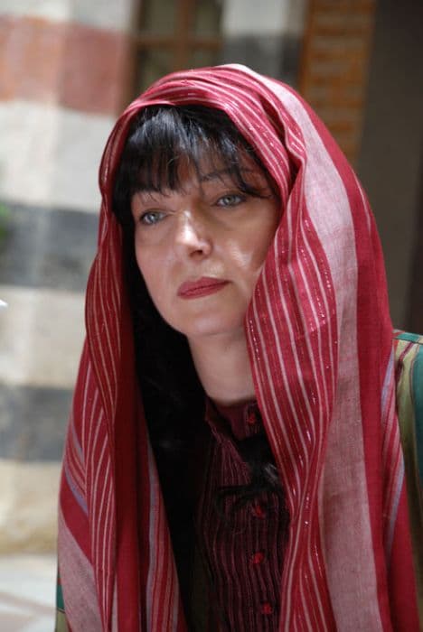 الحصرم الشامي الجزء الثالث