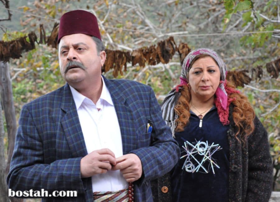 البوم صور من مسلسل ضيعة ضايعة