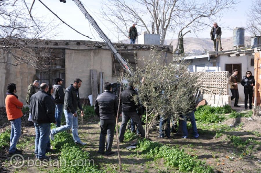 البوم ماملكت ايمانكم