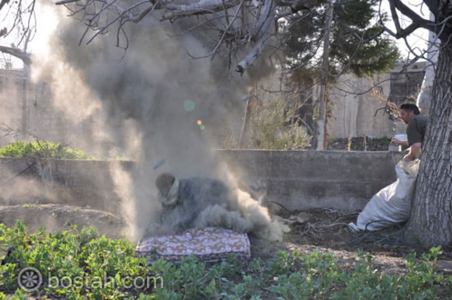 البوم ماملكت ايمانكم