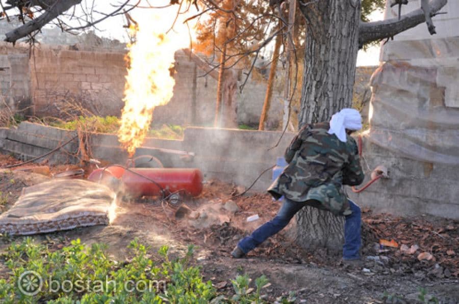 البوم ماملكت ايمانكم