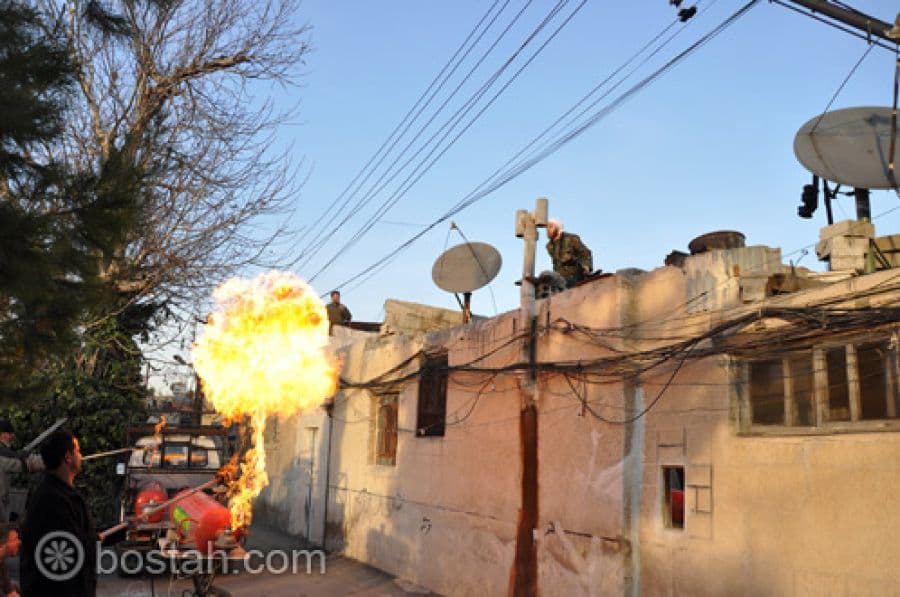 البوم ماملكت ايمانكم