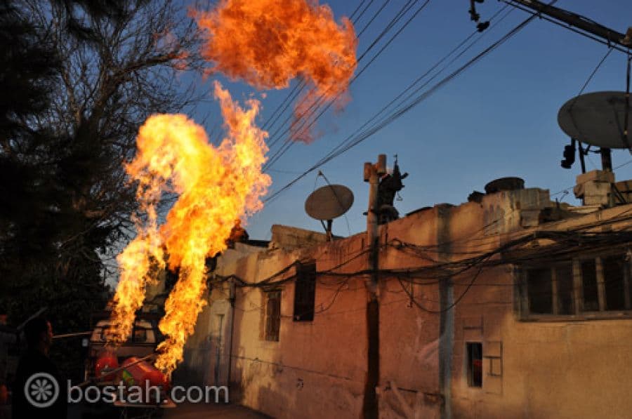 البوم ماملكت ايمانكم