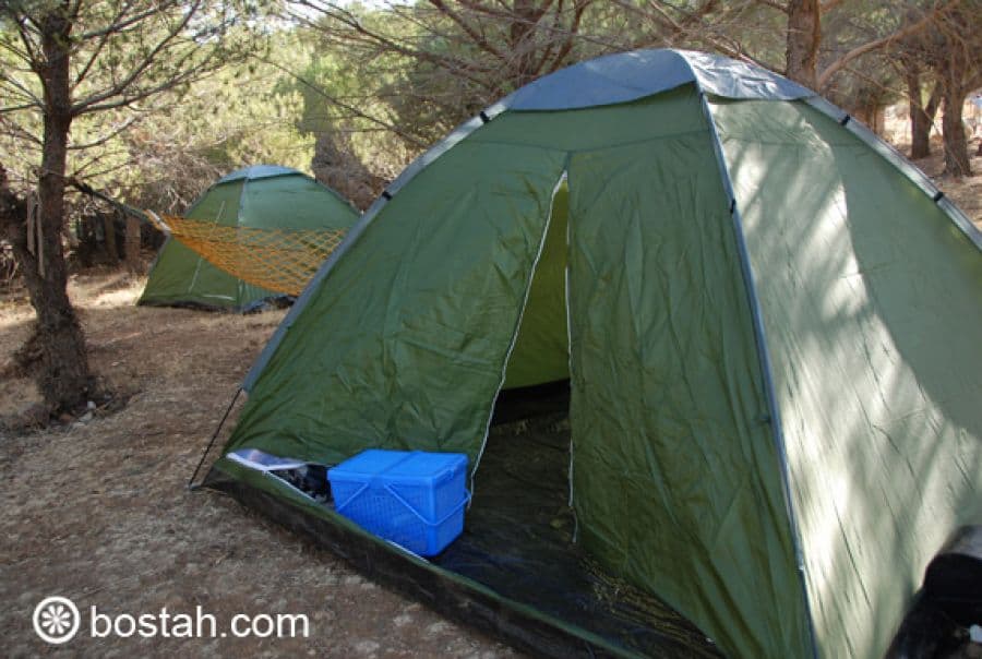 كشف الأقنعة