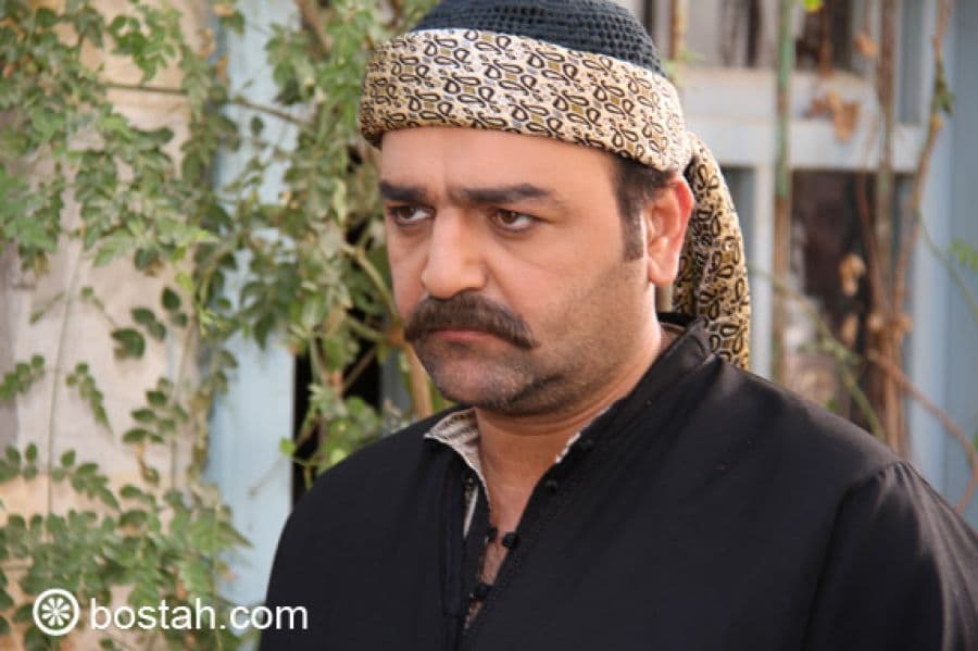 ألبوم صور جديد من "الدبور2" على بوسطة