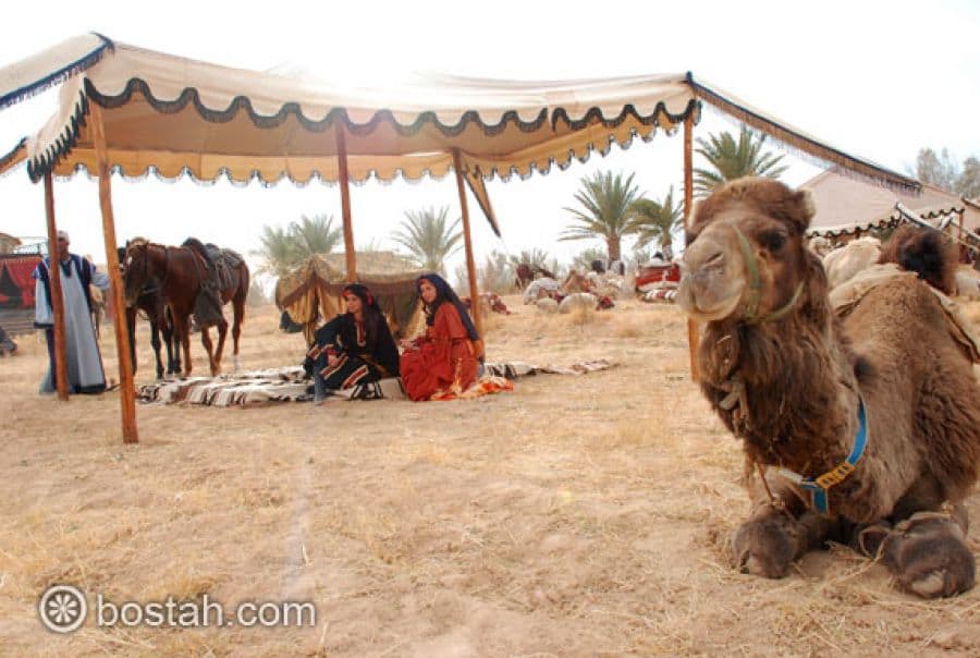 الصور الأولى من مسلسل دليلة والزيبق