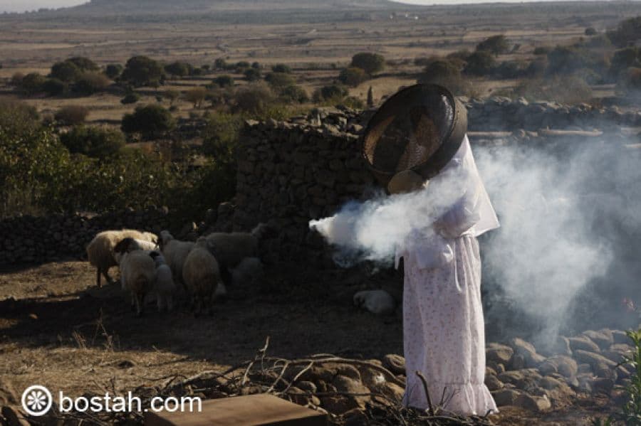 البوم صور من مسلسل  في حضرة الغياب