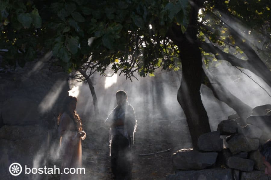 في حضرة الغياب