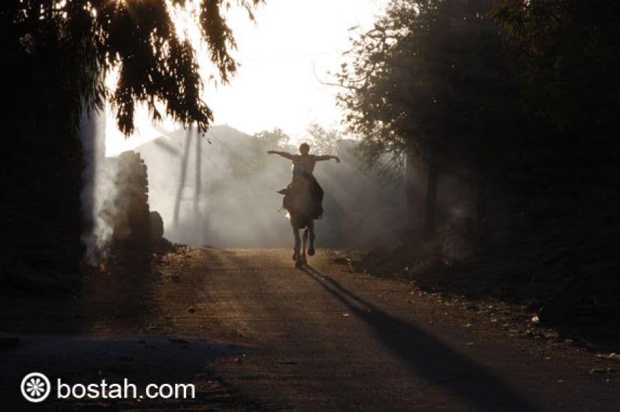 في حضرة الغياب