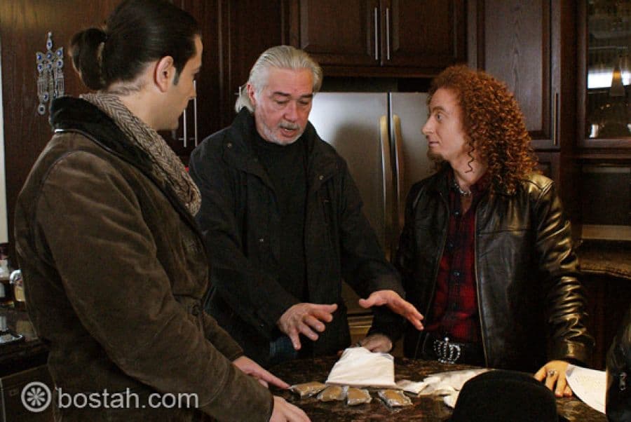 "شيفون" قبل العرض.. في ألبوم جديد على بوسطة