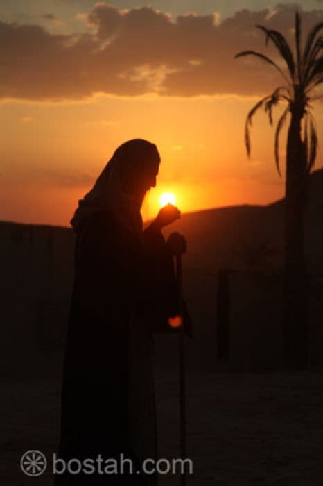 غسان مسعود (38)