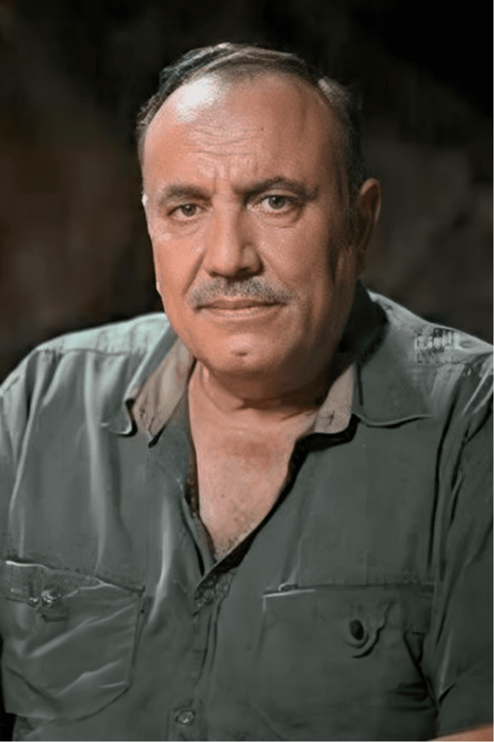 صورة پروفايل "محمد خاوندي"