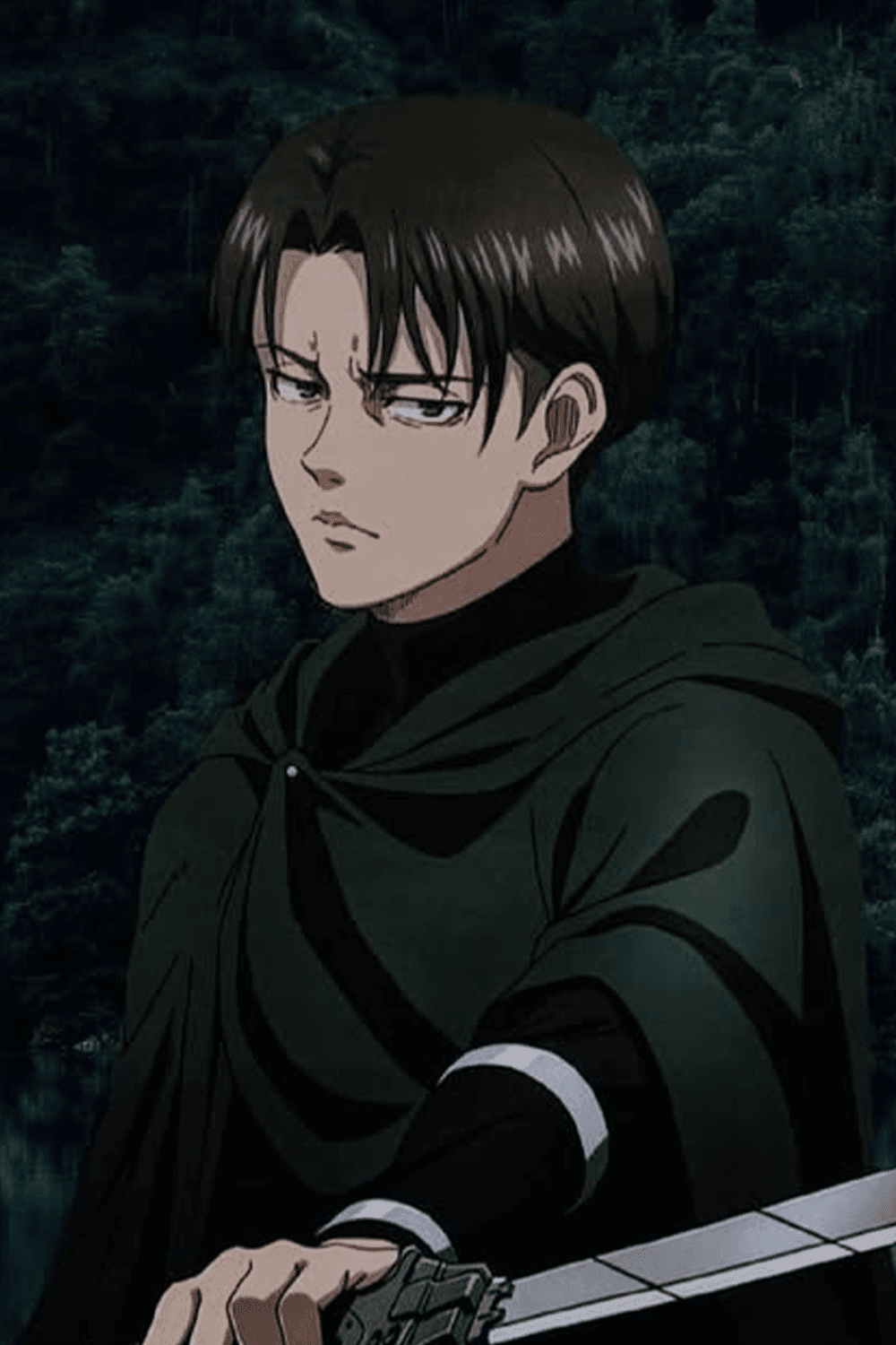 صورة پروفايل "ليفاي أكرمان"