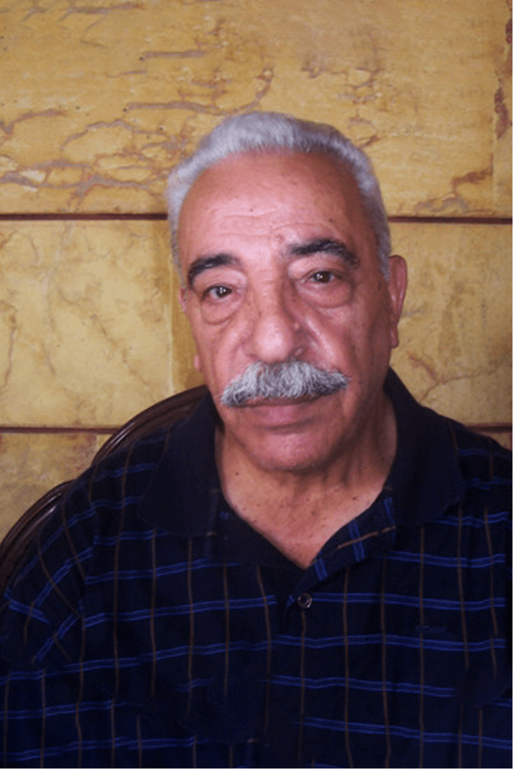 صورة پروفايل "محمد الشماط"