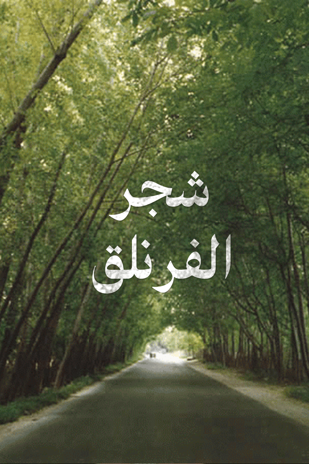 شجر الفرنلق