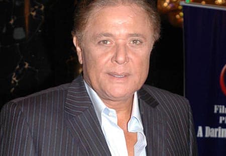 محمود عبد العزيز