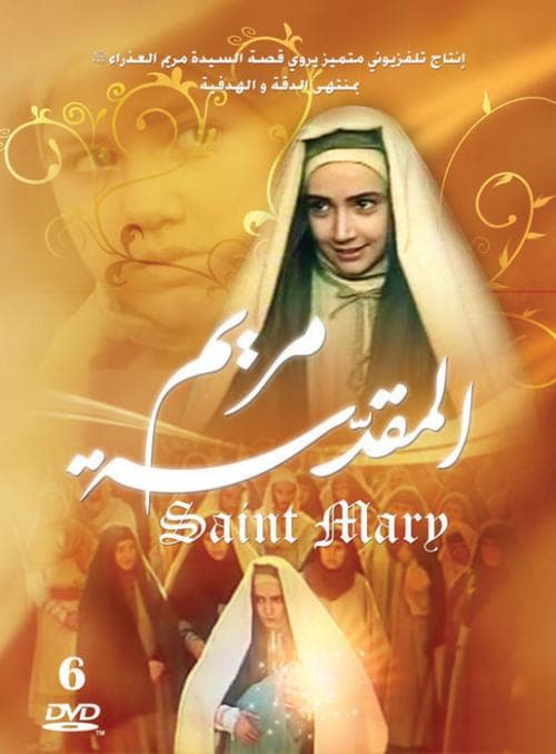 صورة غلاف مقالة "مريم العذراء" أمام القضاء